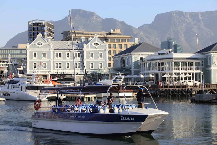 Cape Town: Harbor Cruise