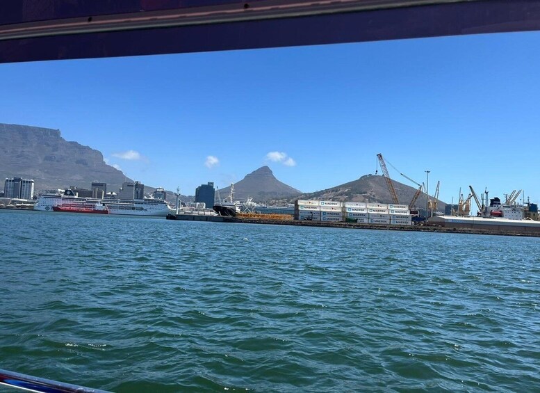 Picture 3 for Activity Cape Town: Harbor Cruise