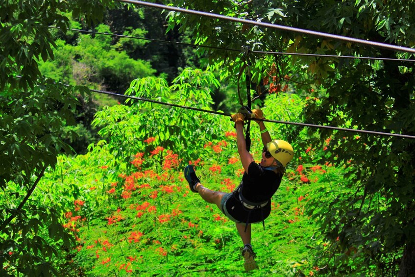 Picture 4 for Activity Sayulita/Punta Mita: Zip Lines with Ocean View