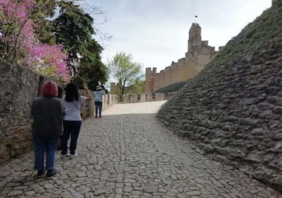 ลิสบอน: ทัวร์ส่วนตัวของ Tomar, Batalha และ Alcobaça