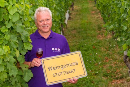 Stuttgart : Promenade guidée du vin et dégustation de vin