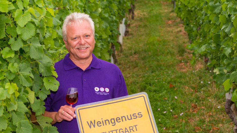 Stuttgart: Guided Wine Walk & Wine Tasting