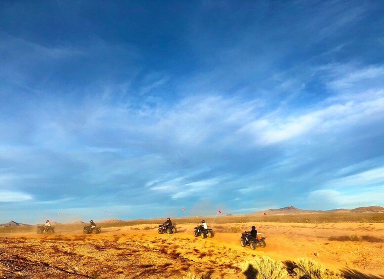 Picture 2 for Activity Las Vegas: Mojave Desert ATV Tour with Pick-up