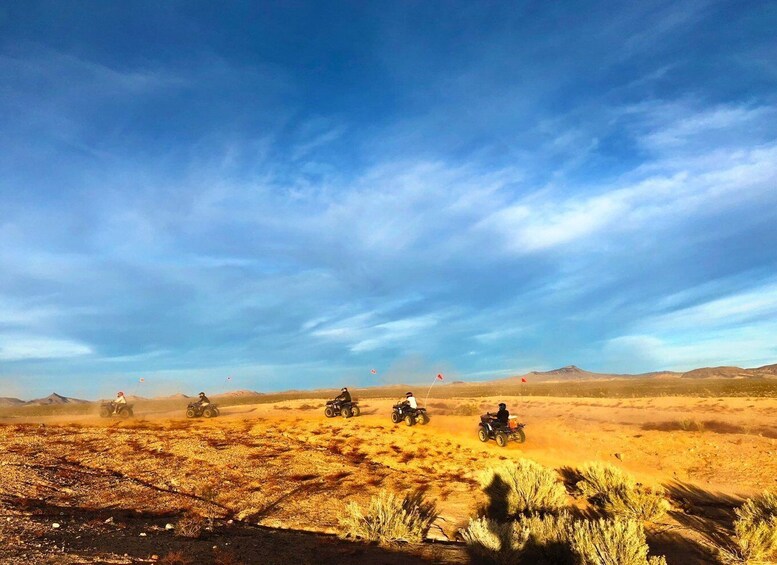 Picture 2 for Activity Las Vegas: Mojave Desert ATV Tour with Pick-up