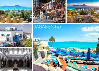 Tunis: Carthage, Bardo, Sidi Bou Said and Medina Tour