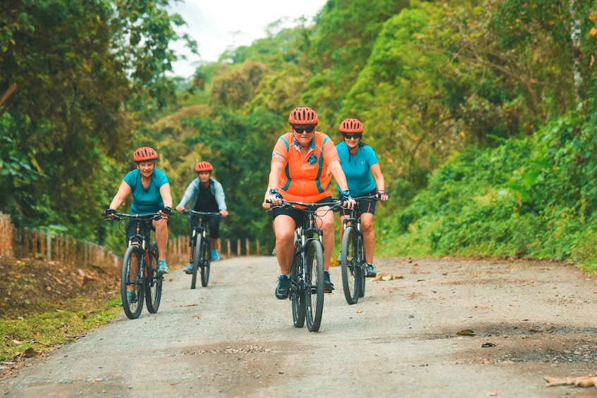 Picture 5 for Activity Lake Arenal: Stand Up Paddle Boarding and Biking Day Trip