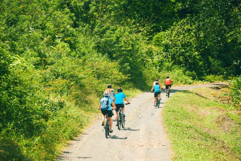 Picture 9 for Activity Lake Arenal: Stand Up Paddle Boarding and Biking Day Trip