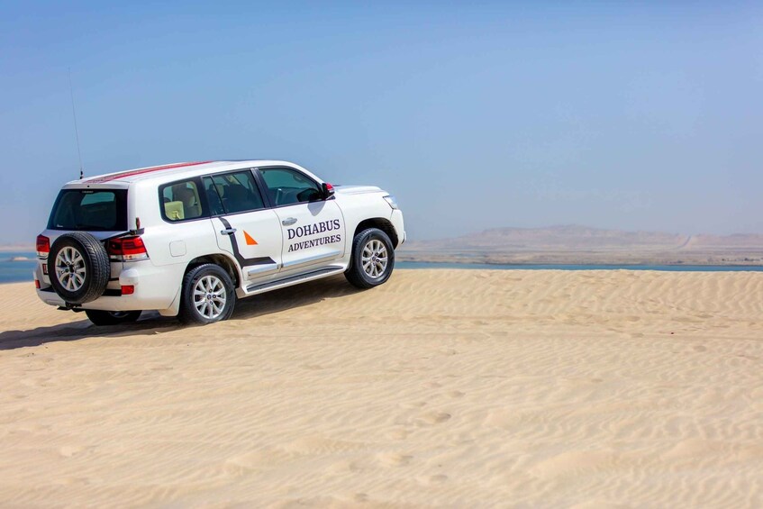 From Doha: Full-Day Desert Safari