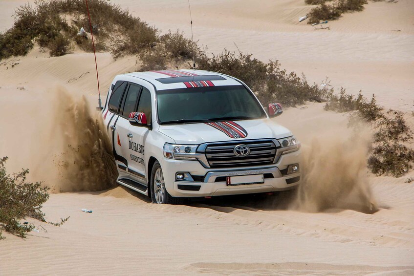 Picture 3 for Activity From Doha: Full-Day Desert Safari