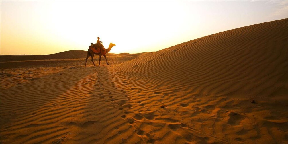 Picture 1 for Activity From Doha: Full-Day Desert Safari