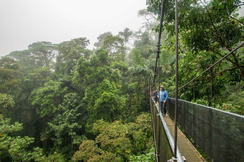 Picture 9 for Activity Suspension Bridges, Fortuna Waterfall, and Typical Lunch