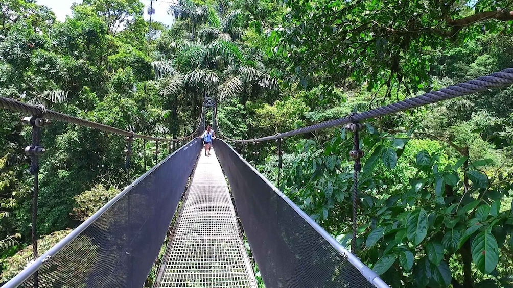 Picture 6 for Activity Suspension Bridges, Fortuna Waterfall, and Typical Lunch