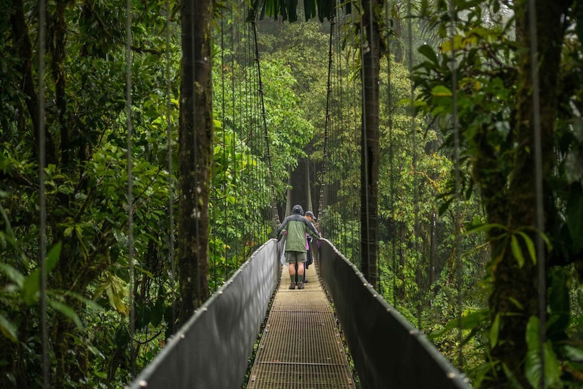 Picture 4 for Activity Suspension Bridges, Fortuna Waterfall, and Typical Lunch