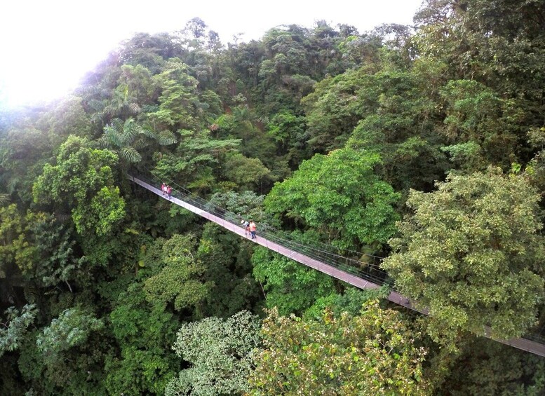 Picture 1 for Activity Suspension Bridges, Fortuna Waterfall, and Typical Lunch