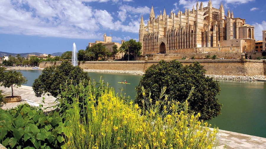 Palma de Mallorca: City Walking Tour with The Cathedral