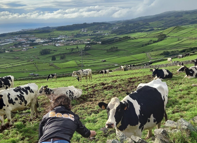 Picture 4 for Activity From Angra: Terceira Island Full-Day Jeep Tour