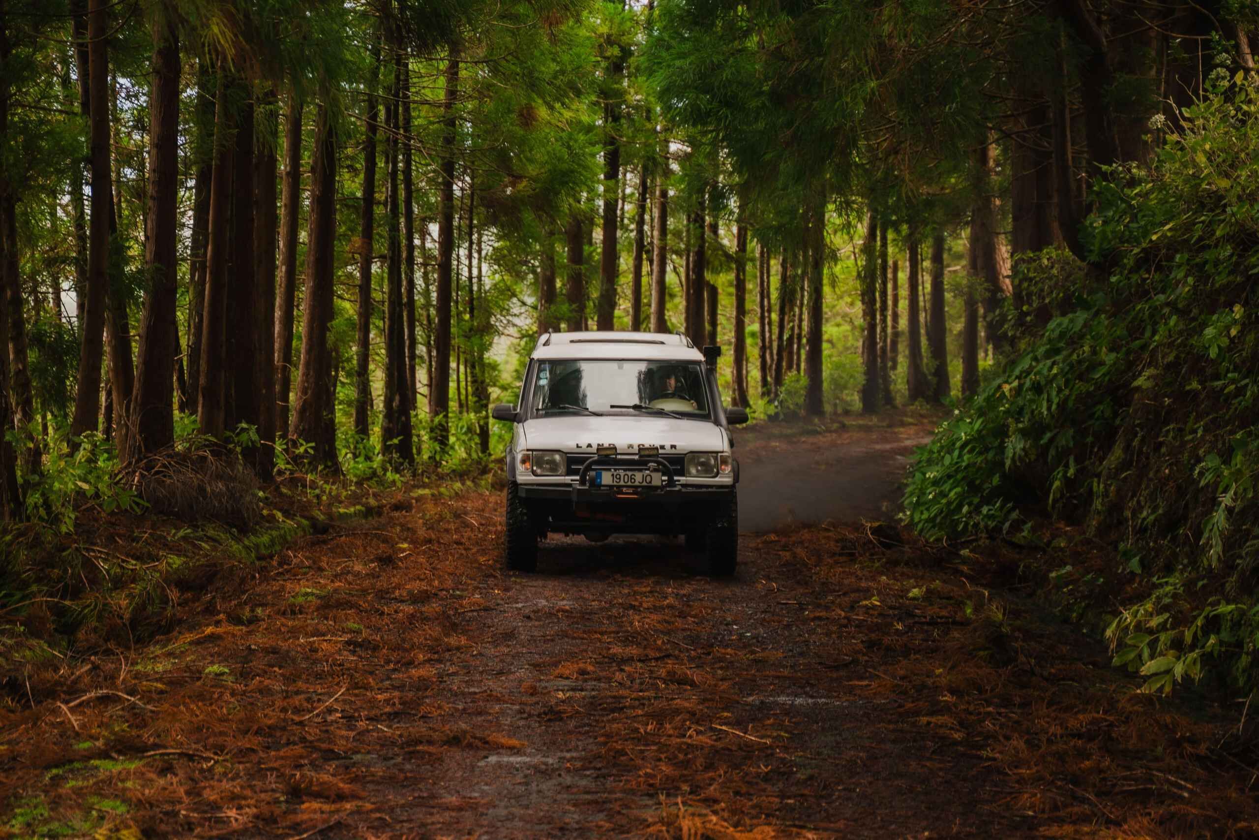 From Angra: Terceira Island Full-Day Jeep Tour