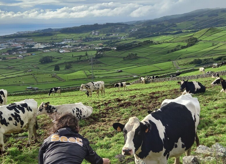 Picture 4 for Activity From Angra: Terceira Island Full-Day Jeep Tour