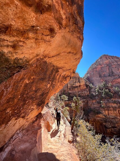 Picture 13 for Activity Las Vegas: VIP Guided Photography & Hiking Tour of Zion NP