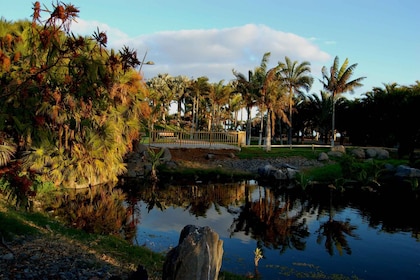 Santa Cruz de Tenerife: Palmetum Eintrittskarte