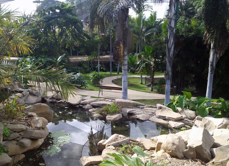 Picture 2 for Activity Santa Cruz de Tenerife: Palmetum Entry Ticket