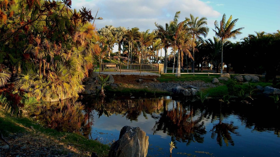 Santa Cruz de Tenerife: Palmetum Entry Ticket