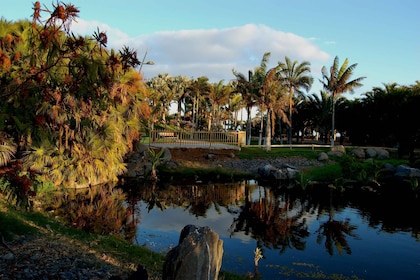 Santa Cruz de Tenerife: Entrada Palmetum