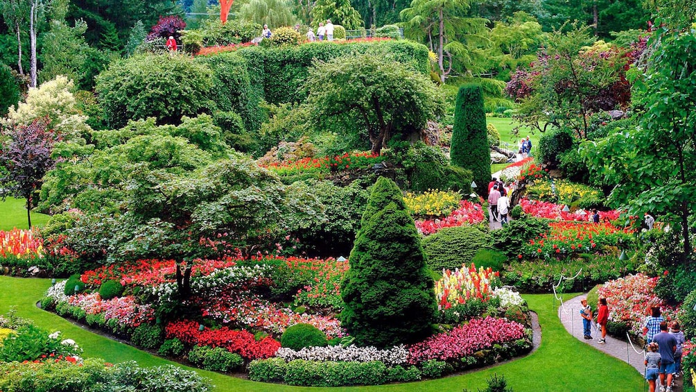 Extensive garden in Victoria