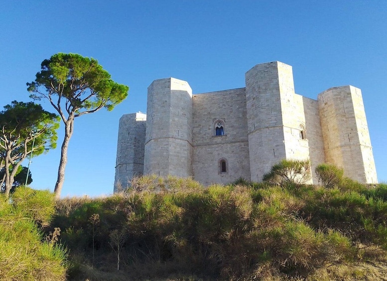 Picture 15 for Activity Castel del Monte private tour: The Crown of Italy