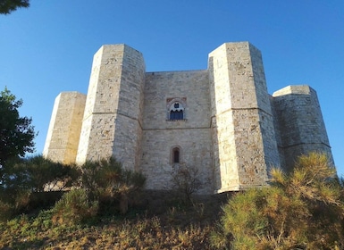 Castel del Monte private tour: The Crown of Italy