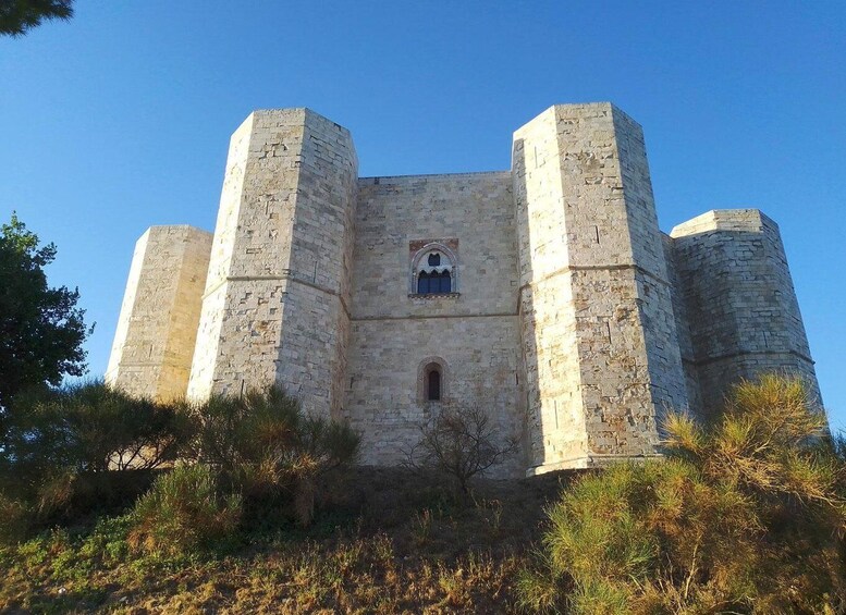 Castel del Monte private tour: The Crown of Italy