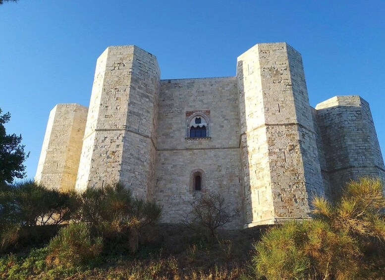 Castel del Monte private tour: The Crown of Italy