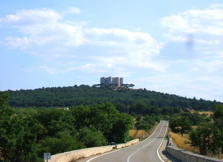 Picture 10 for Activity Castel del Monte private tour: The Crown of Italy