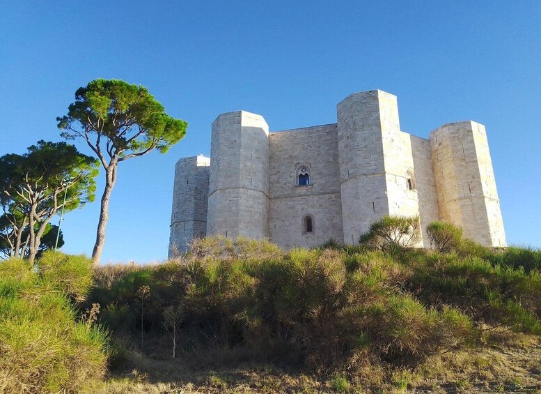 Picture 15 for Activity Castel del Monte private tour: The Crown of Italy