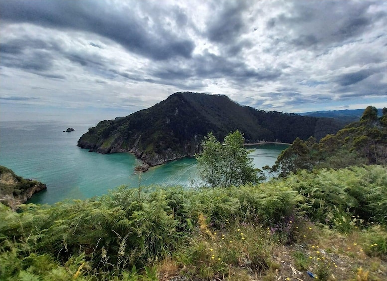 From Santander or Torrelavega: Soplao Cave Excursion