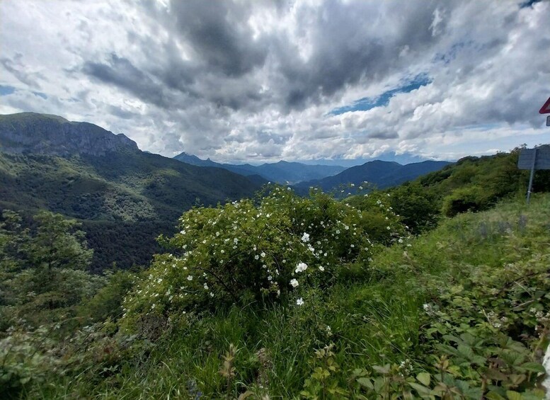 Picture 8 for Activity From Santander or Torrelavega: Soplao Cave Excursion