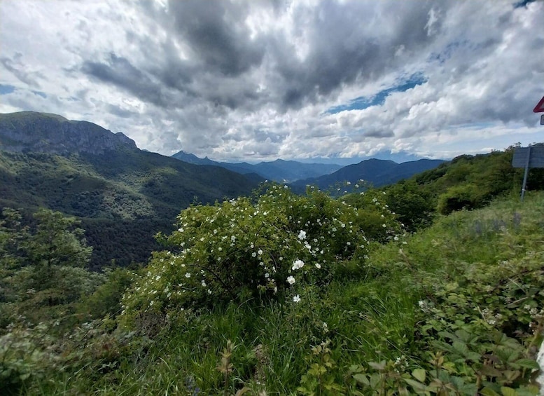 Picture 8 for Activity From Santander or Torrelavega: Soplao Cave Excursion