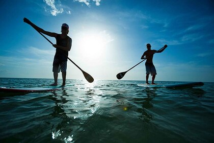 Fuerteventura: 1,5-stündiger SUP-Kurs - Caleta de Fuste