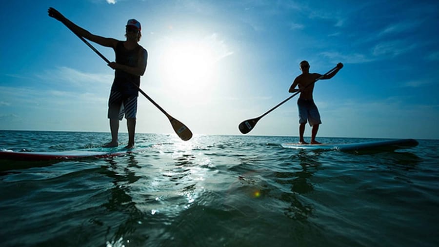 Fuerteventura: 1.5-Hour SUP Course - Caleta de Fuste