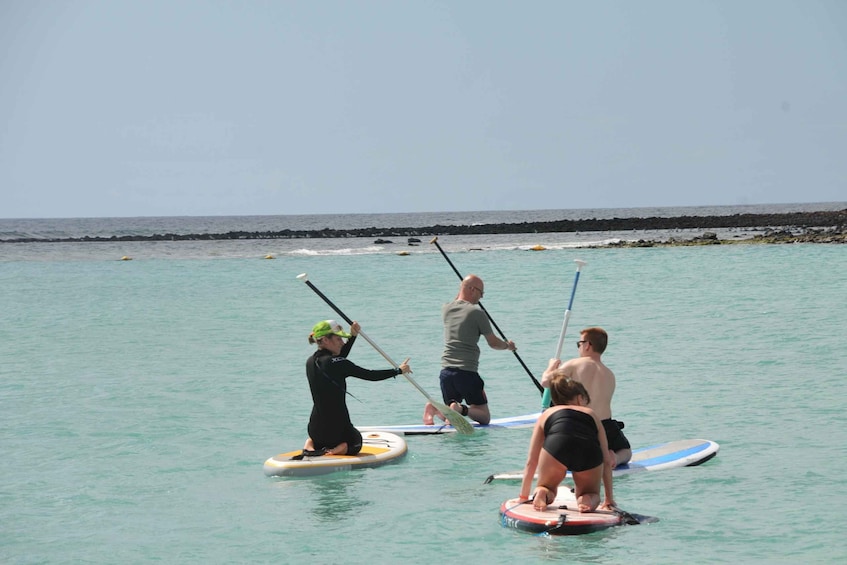 Picture 7 for Activity Fuerteventura: 1.5-Hour SUP Course - Caleta de Fuste