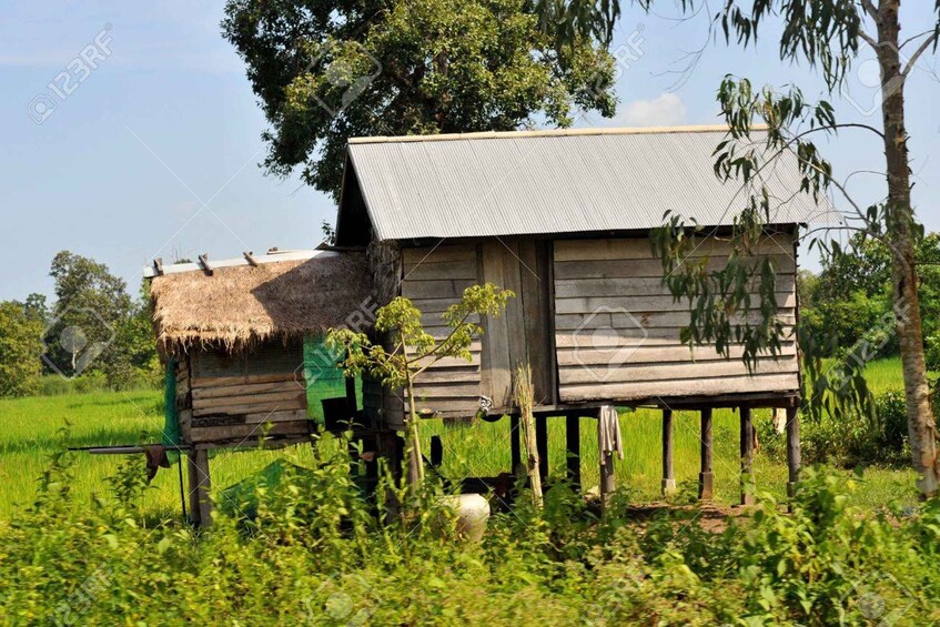 Picture 4 for Activity Back to Basics: Siem Reap Village Tour in Cambodia