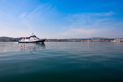 都柏林湾从市中心到邓莱里（Dun Laoghaire）的游船