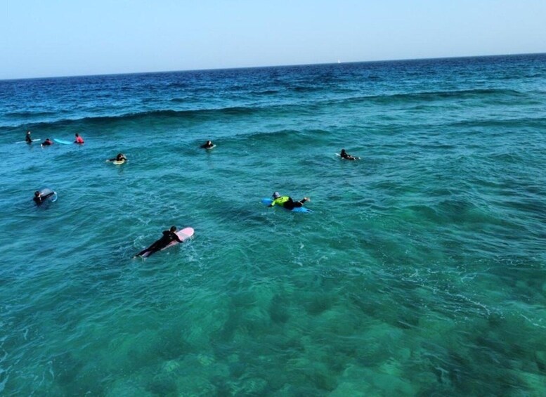 Picture 4 for Activity Fuerteventura: Learn to Surf Lesson