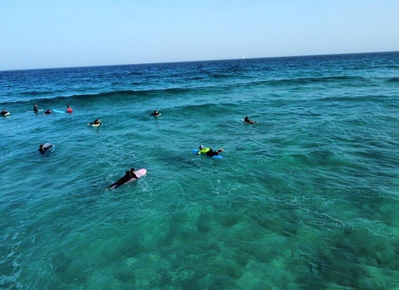 Picture 4 for Activity Fuerteventura: Learn to Surf Lesson