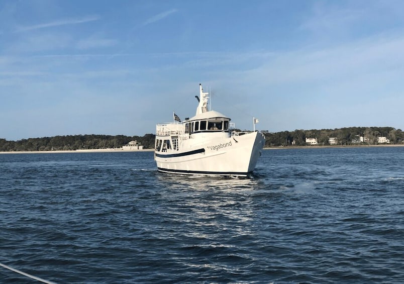 Picture 1 for Activity Hilton Head Island: Round-Trip Daufuskie Island Ferry