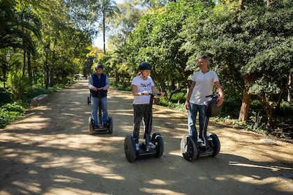 Tur Kota Sevilla: Tur Segway Monumental Selama 2 Jam