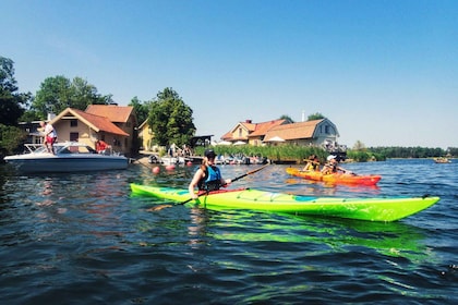 Estocolmo: tour en kayak por el archipiélago y picnic en la isla