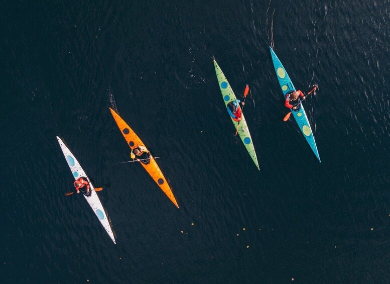 Picture 2 for Activity Stockholm: Archipelago Islands Kayak Tour and Outdoor Picnic