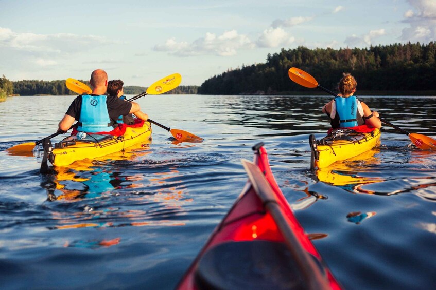 Picture 4 for Activity Stockholm: Archipelago Islands Kayak Tour and Outdoor Picnic