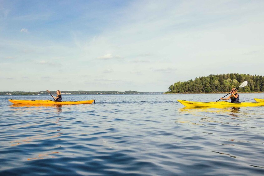 Picture 5 for Activity Stockholm: Archipelago Islands Kayak Tour and Outdoor Picnic